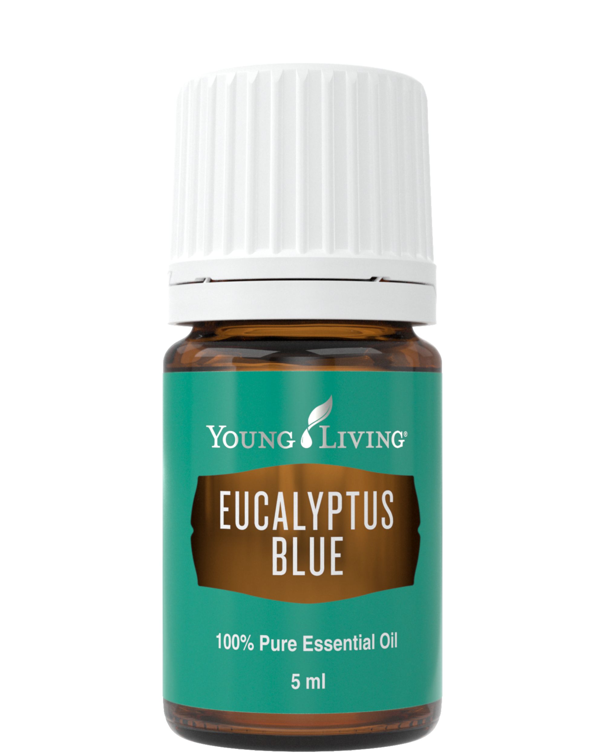 Eucalyptus Blue illóolaj második kép weboldal(7)