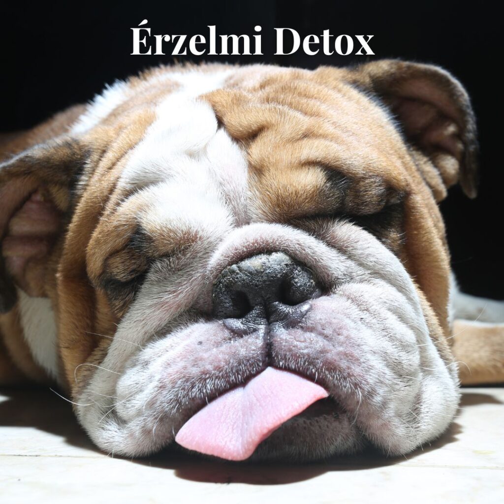 Érzelmi detox
